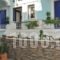 Studios Iris_lowest prices_in_Hotel_Aegean Islands_Samos_Pythagorio