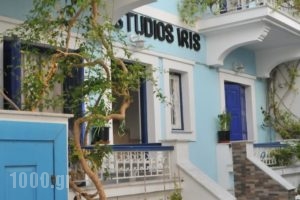 Studios Iris_accommodation_in_Hotel_Aegean Islands_Samos_Pythagorio