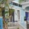 Studios Iris_accommodation_in_Hotel_Aegean Islands_Samos_Pythagorio