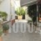 Studios Iris_best prices_in_Hotel_Aegean Islands_Samos_Pythagorio