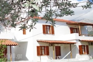 Studios Calvinos_best deals_Hotel_Aegean Islands_Samos_Marathokambos