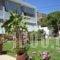 Apartments Antonios_lowest prices_in_Apartment_Dodekanessos Islands_Rhodes_Stegna