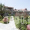 Villa Ariadni_lowest prices_in_Villa_Aegean Islands_Lesvos_Lesvos Rest Areas