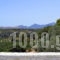 Dalabelos_best deals_Apartment_Crete_Rethymnon_Perama