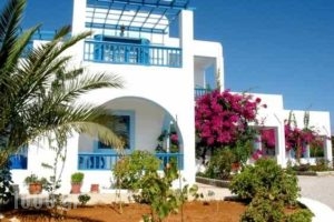 Sunflower studios_accommodation_in_Hotel_Dodekanessos Islands_Kasos_Kasos Rest Areas