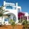 Sunflower studios_accommodation_in_Hotel_Dodekanessos Islands_Kasos_Kasos Rest Areas