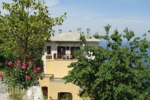 Aggelika_best deals_Hotel_Thessaly_Magnesia_Kato Gatzea