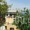 Aggelika_best deals_Hotel_Thessaly_Magnesia_Kato Gatzea