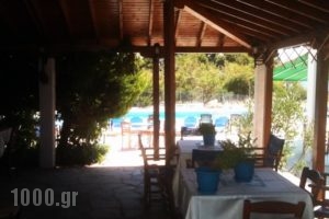 Studios -Hotel Villa Yliessa_best deals_Villa_Thraki_Evros_Alexandroupoli