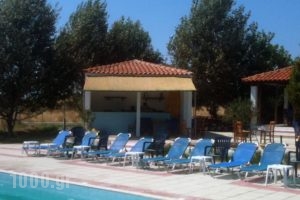 Studios -Hotel Villa Yliessa_best prices_in_Villa_Thraki_Evros_Alexandroupoli