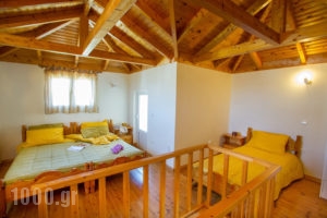 Studios Konstantina_lowest prices_in_Room_Epirus_Preveza_Lygia