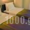 Alexander Rooms_best deals_Room_Peloponesse_Argolida_Nafplio