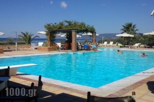 Panselinos Hotel_lowest prices_in_Hotel_Aegean Islands_Lesvos_Mythimna (Molyvos)