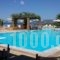 Panselinos Hotel_lowest prices_in_Hotel_Aegean Islands_Lesvos_Mythimna (Molyvos)