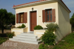 Gaea Gardens Studios And Villas_holidays_in_Villa_Aegean Islands_Lesvos_Petra