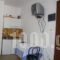 Studios Pasas_holidays_in_Room_Cyclades Islands_Naxos_Naxos Chora