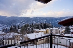 Chalet Christantoni in Elati, Trikala, Thessaly