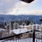 Chalet Christantoni_accommodation_in_Room_Thessaly_Trikala_Elati