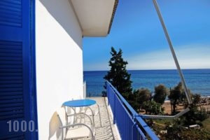 Zaga-Giorgos Papasarantopoulos_holidays_in_Room_Peloponesse_Messinia_Koroni