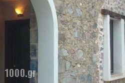 Ktima Dadouli in Salamina Rest Areas, Salamina, Piraeus Islands - Trizonia