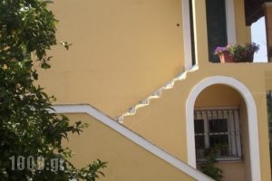 Niki Apartments_accommodation_in_Apartment_Ionian Islands_Corfu_Corfu Rest Areas