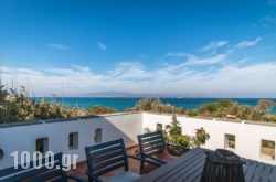 Villa Paradise in Agia Anna, Naxos, Cyclades Islands