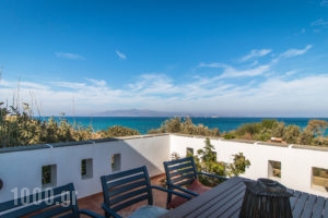 Villa Paradise_accommodation_in_Villa_Cyclades Islands_Naxos_Agia Anna