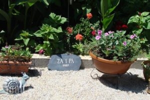 Zaira Studios_accommodation_in_Hotel_Aegean Islands_Lesvos_Skala Eressou