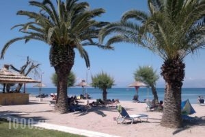 Three Stars Beach Hotel_accommodation_in_Hotel_Ionian Islands_Corfu_Corfu Rest Areas