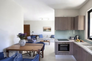 Aethrion Boutique Homes Crete_lowest prices_in_Apartment_Crete_Chania_Daratsos