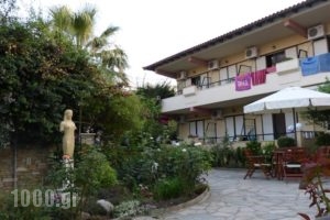 Sun Rise Hotel_best deals_Hotel_Macedonia_Halkidiki_Ierissos