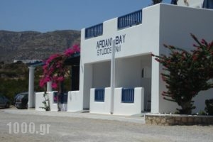 Ardani Bay Studios_lowest prices_in_Hotel_Dodekanessos Islands_Karpathos_Karpathos Chora