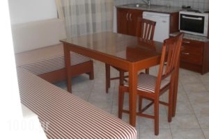 Chasakis Apartments_holidays_in_Apartment_Epirus_Preveza_Kamarina