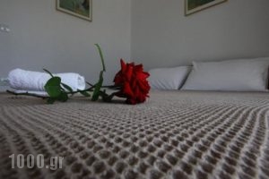 Pavloudis Apartments_holidays_in_Apartment_Macedonia_Halkidiki_Kassandreia