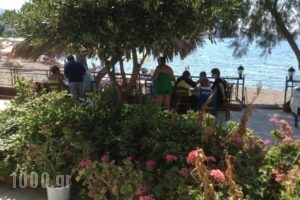 Klimataria_accommodation_in_Hotel_Aegean Islands_Lesvos_Anaxos