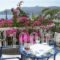 Australis_holidays_in_Hotel_Dodekanessos Islands_Patmos_Skala