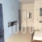 Alexiou Apartments Blue_best deals_Room_Crete_Rethymnon_Rethymnon City