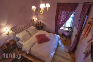 Papigo Towers_accommodation_in_Room_Epirus_Ioannina_Papiggo