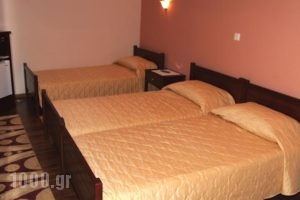 Guesthouse Idiston_best deals_Hotel_Macedonia_kastoria_Aposkepos