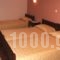 Guesthouse Idiston_best deals_Hotel_Macedonia_kastoria_Aposkepos