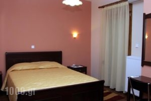 Guesthouse Idiston_lowest prices_in_Hotel_Macedonia_kastoria_Aposkepos