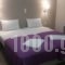 Lux_accommodation_in_Hotel_Central Greece_Attica_Piraeus