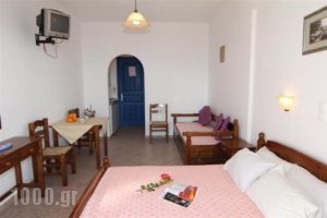 Studios Vagos_accommodation_in_Apartment_Cyclades Islands_Naxos_Agios Prokopios