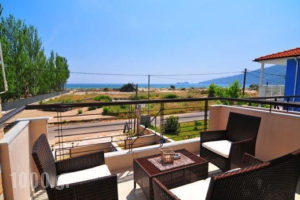 Golden Sunrise Apartments_holidays_in_Apartment_Aegean Islands_Thasos_Thasos Chora