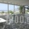 Villa Paros_accommodation_in_Villa_Cyclades Islands_Paros_Paros Rest Areas