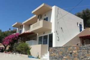 Platanos Studios_holidays_in_Hotel_Crete_Rethymnon_Plakias