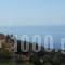 Platanos Studios_best deals_Hotel_Crete_Rethymnon_Plakias