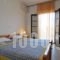 Pension Marina_best deals_Hotel_Aegean Islands_Thassos_Thassos Chora