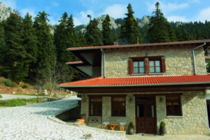 Ta Petrina tis Elatis_lowest prices_in_Room_Thessaly_Trikala_Elati