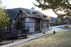 Vasiliki Mountain Farm & Retreat_travel_packages_in_Central Greece_Fthiotida_Pavliani